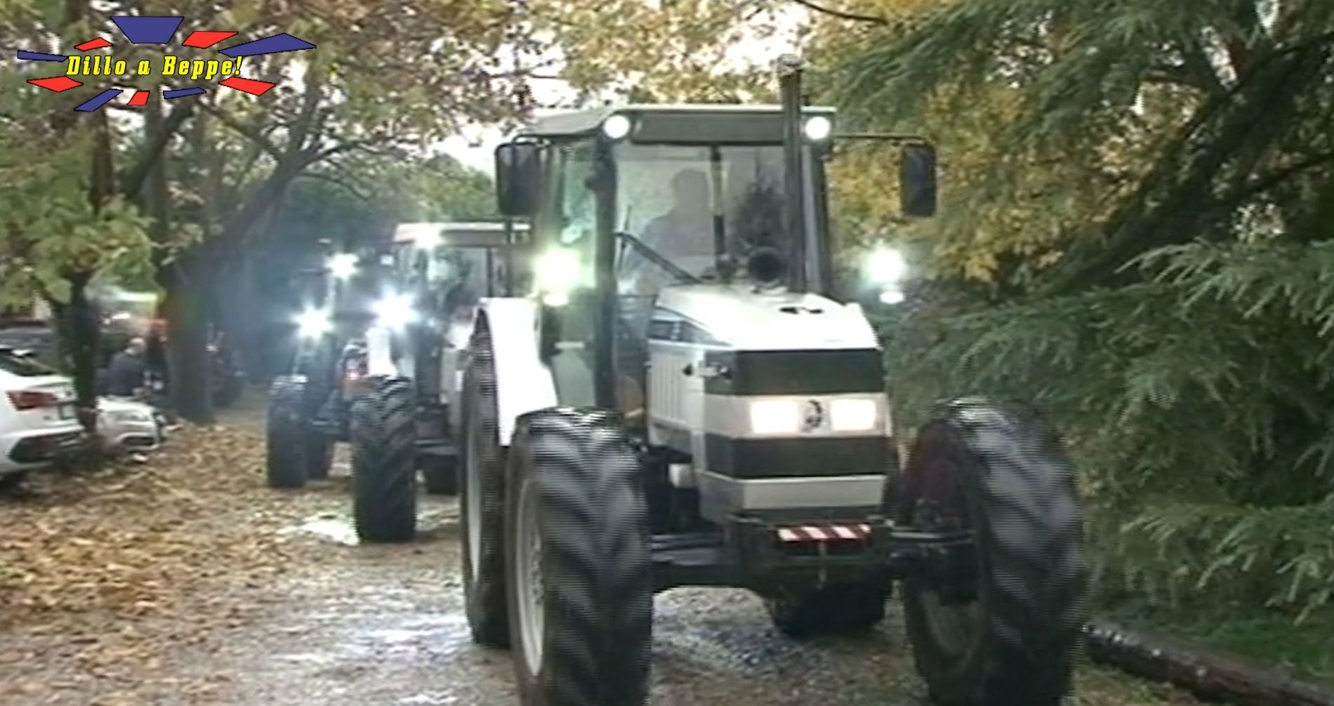Dillo a Beppe alla festa del ringraziamento